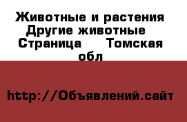 Животные и растения Другие животные - Страница 2 . Томская обл.